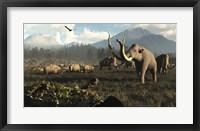 Columbian Mammoths And Bison Roam The Ancient Plains Of North America Fine Art Print