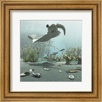 Animals And Floral Life From The Burgess Shale Formation Of The Cambrian Period Fine Art Print