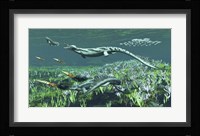 Cymbospondylus, A Very Large And Early Triassic Ichthyosaur Fine Art Print