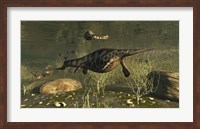 Hupehsuchus Marine Reptiles Swimming In Triassic Waters Fine Art Print
