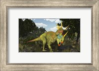 Styracosaurus, A Horned Dinosaur Of The Late Cretaceous Fine Art Print