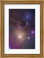 The colorful region around Antares in Scorpius and blue Rho Ophiuchi in Ophiuchus Fine Art Print