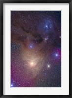 The colorful region around Antares in Scorpius and blue Rho Ophiuchi in Ophiuchus Fine Art Print