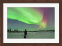 Aurora borealis with Vega and Arcturus Stars, Manitoba, Canada Fine Art Print