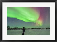Aurora borealis with Vega and Arcturus Stars, Manitoba, Canada Fine Art Print