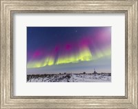Aurora borealis, Manitoba, Canada Fine Art Print