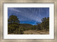 Circumpolar star trails over the Gila National Forest in southern New Mexico Fine Art Print