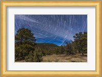 Circumpolar star trails over the Gila National Forest in southern New Mexico Fine Art Print