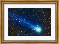 Comet Lovejoy Fine Art Print