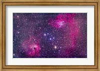 The Flaming Star Nebula in Auriga Fine Art Print