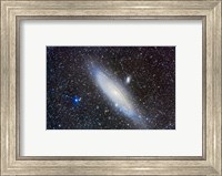Andromeda Galaxy with Companions Fine Art Print