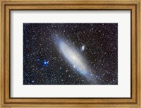 Andromeda Galaxy with Companions Fine Art Print