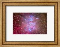 The Orion Nebula Region Fine Art Print