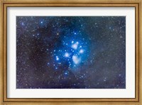 The Pleiades (Seven Sisters) Fine Art Print