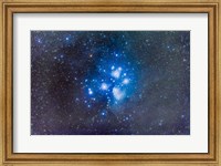 The Pleiades (Seven Sisters) Fine Art Print