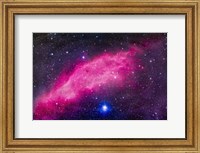 The California Nebula Fine Art Print