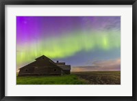 Purple Aurora over an old barn, Alberta, Canada Fine Art Print