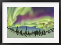 Aurora borealis over Churchill, Manitoba, Canada Fine Art Print