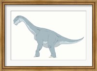 Camarasaurus Fine Art Print