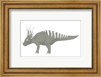 Styracosaurus Fine Art Print