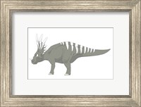 Styracosaurus Fine Art Print