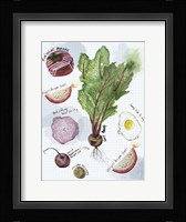 Food Sketches II Fine Art Print