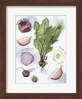 Food Sketches II Fine Art Print