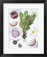 Food Sketches II Framed Print