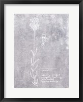 Essential Botanicals II Fine Art Print