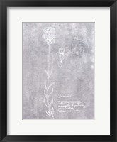 Essential Botanicals II Framed Print