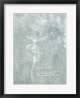Essential Botanicals III Fine Art Print