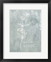 Essential Botanicals III Framed Print