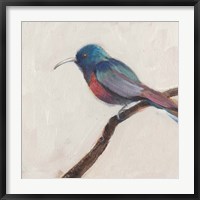 Bird Profile I Fine Art Print