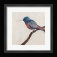 Bird Profile I Fine Art Print