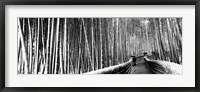 Stepped walkway passing through a bamboo forest, Arashiyama, Kyoto, Japan Fine Art Print