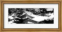 Low angle view of trees in front of a temple, Kinkaku-ji Temple, Kyoto City, Japan Fine Art Print