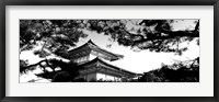Low angle view of trees in front of a temple, Kinkaku-ji Temple, Kyoto City, Japan Fine Art Print