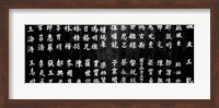 Close-up of Chinese ideograms, Beijing, China BW Fine Art Print