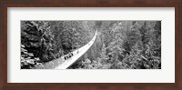 Capilano Bridge, Suspended Walk, Vancouver, British Columbia, Canada BW Fine Art Print