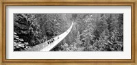 Capilano Bridge, Suspended Walk, Vancouver, British Columbia, Canada BW Fine Art Print