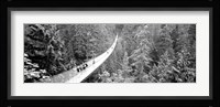 Capilano Bridge, Suspended Walk, Vancouver, British Columbia, Canada BW Fine Art Print