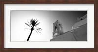 Low angle view of a palm tree near a church , Ios, Greece Fine Art Print