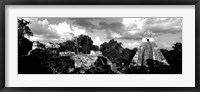 Ruins Of An Old Temple, Tikal, Guatemala BW Fine Art Print