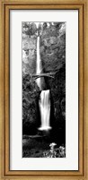 Waterfall in a forest, Multnomah Falls, Columbia River Gorge, Oregon Fine Art Print