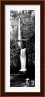 Waterfall in a forest, Multnomah Falls, Columbia River Gorge, Oregon Fine Art Print