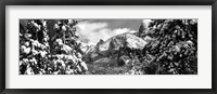 Snowy trees in winter, Yosemite Valley, Yosemite National Park, California Fine Art Print