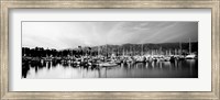 Boats moored in harbor at sunset, Santa Barbara Harbor, California Fine Art Print