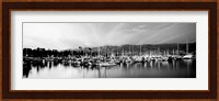 Boats moored in harbor at sunset, Santa Barbara Harbor, California Fine Art Print