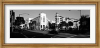 Car moving on the street, Rodeo Drive, Beverly Hills, California Fine Art Print