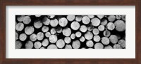Marked Wood In A Timber Industry, Black Forest, Germany BW Fine Art Print